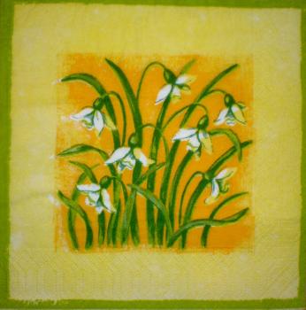 002 Daffodils - 3-ply - CS