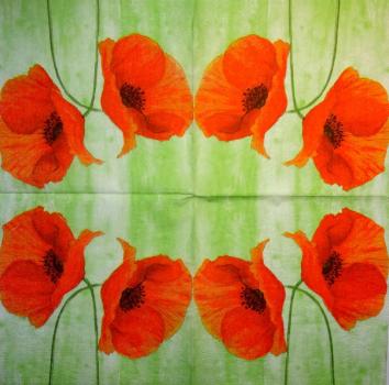 147 Anemones, Poppy - 3-ply