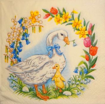 183 Ducks - 3-ply