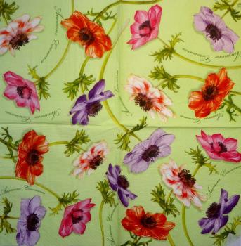 155 Anemones, Poppy - 3-ply - Paw