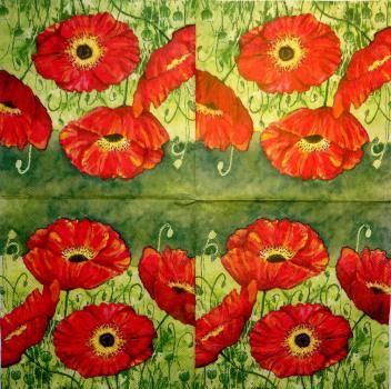 160 Anemones, Poppy - 3-ply