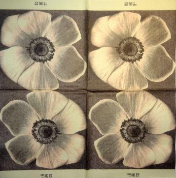 161 Anemones, Poppy - 3-ply