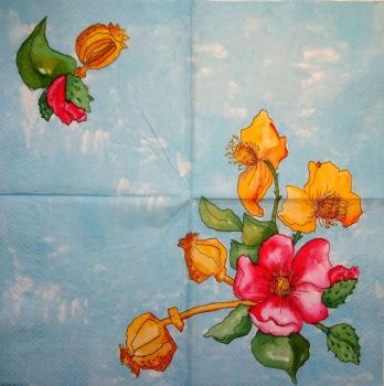162 Anemones, Poppy - 3-ply