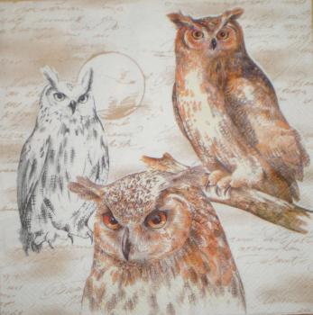 044 Owls - 3-ply - Ihr