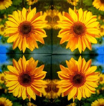 154 Sunflowers - 3-ply