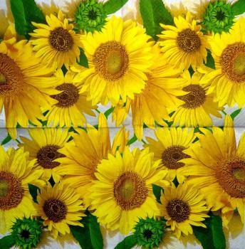 157 Sonnenblumen - 3-lagig - Paper Design
