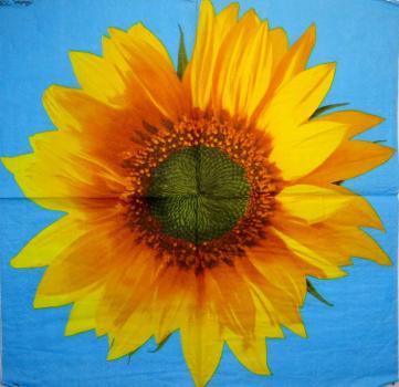 043 Sonnenblumen - 3-lagig (blau) - Andrea Tilk