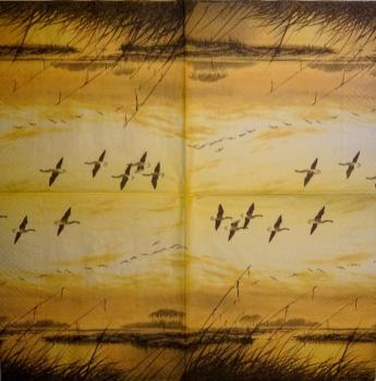 184 Enten - 3-lagig - Paper Design