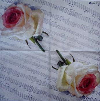 425 Roses - 3-ply - Stewo