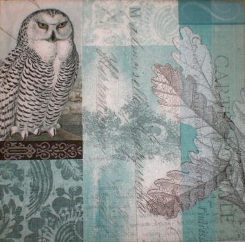 064 Owls - 3-ply - ppd - Paula Scaletta