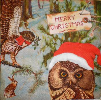 066 Owls - 3-ply - Ihr