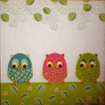 069 Owls - 3-ply (grün) - Ihr - CS