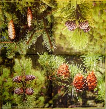 200 Christmas Flowers - 3-ply - Ihr