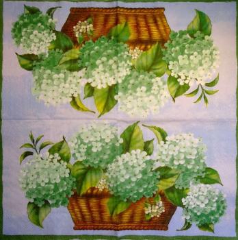 017 Hydrangeas - 3-ply (grün) - Ihr