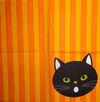 252 Katzen - 2-lagig - CS