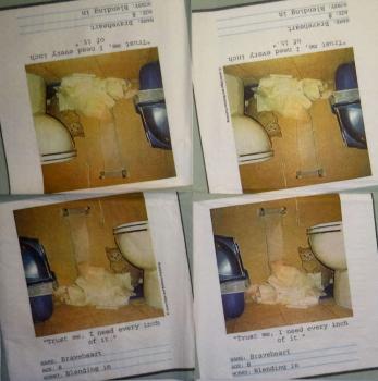 259 Cats - 3-ply - James Edgar - CS