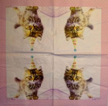 199 Cats - 3-ply - Rachael Hale 2007 - CS