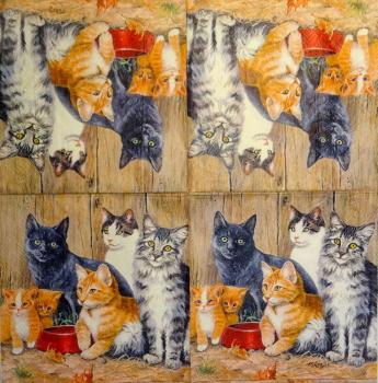 129 Cats - 3-ply - Künstler -  CS