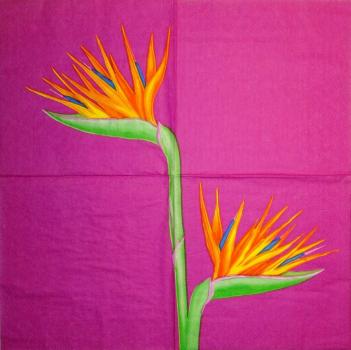 228 Flowers Others - 3 ply - Fasana