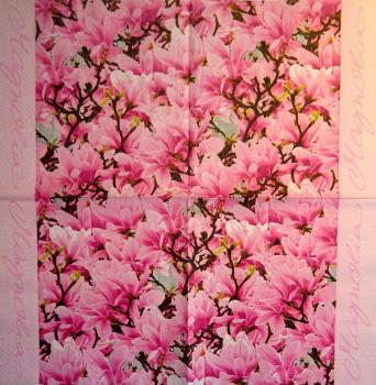 078 Magnolias - 3-ply - ti-flair