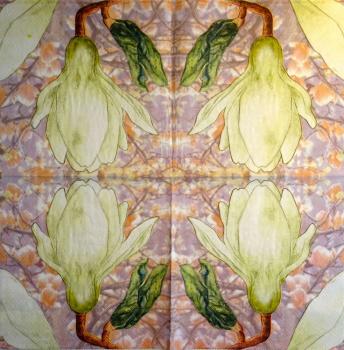 056 Magnolias - 3 ply (weiß) - MOLCA
