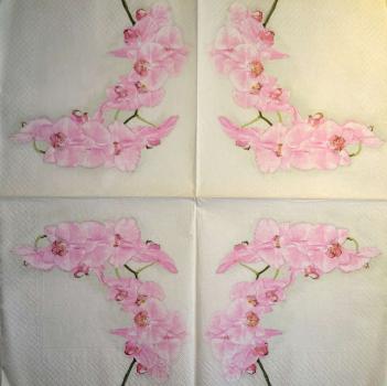 095 Orchideen - 3 lagig