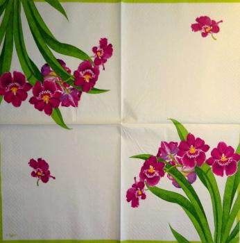 101 Orchids - 3 ply - Caspari