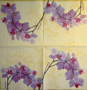 079 Orchideen - 3-lagig (creme) - Ambiente