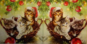 083 Katzen - 3-lagig - Ambiente