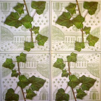174 Plants - 3-ply