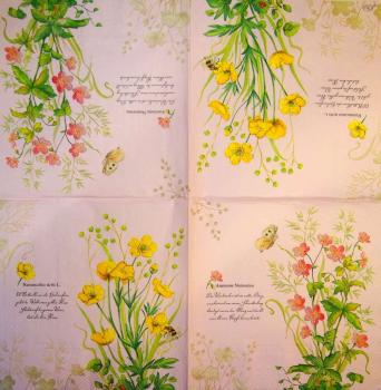 059 Anemones, Poppy - 3-ply (pink) - Ihr