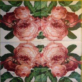 580 Rosen - 3-lagig - Ambiente