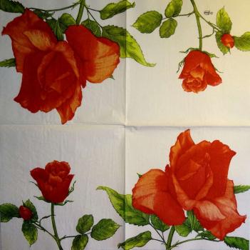 587 Rosen - 3-lagig (creme) - Ambiente