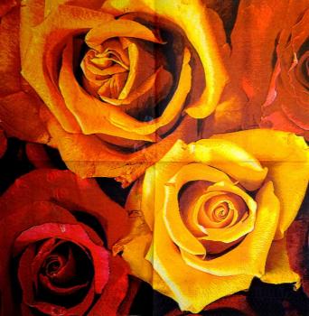 605 Roses - 3-ply