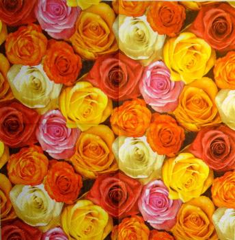 613 Roses - 3-ply - ti-flair - CS
