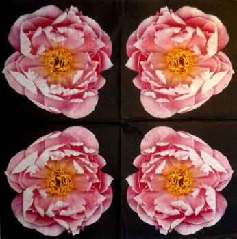 157 Roses - 3-ply (black) - Ihr