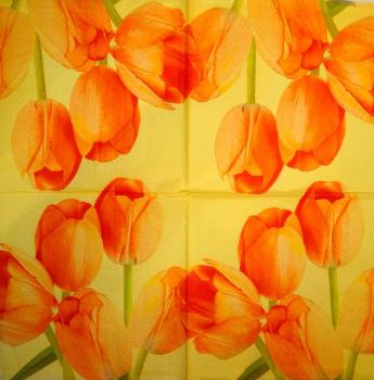 152 Tulpen - 3-lagig (orange)