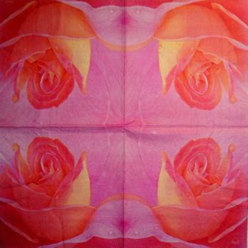 619 Roses - 3-ply - Fasana