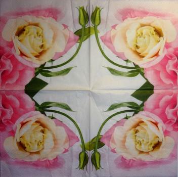 629 Roses - 3-ply
