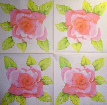 630 Roses - 3-ply