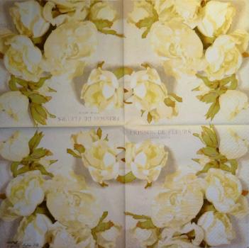 633 Roses - 3-ply - Stewo - Andrea Tilk