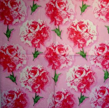 639 Rosen - 3-lagig (rosa)
