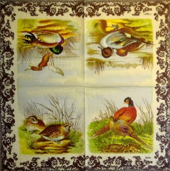 049 Peacock - 3-ply - Caspari - Spode