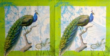 050 Peacock - 3-ply - Colourful Life