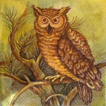 011 Owls - 3-ply - Atelier
