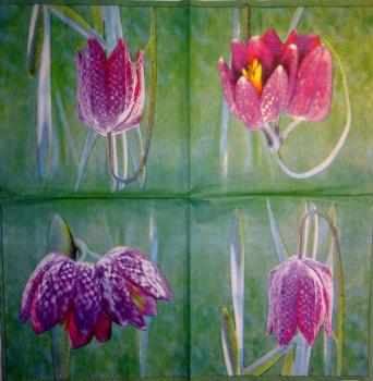 232 Blumen Sonstige - 3-lagig - The Royal National Trust - Ihr