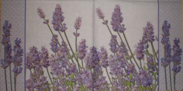 005 Lavender