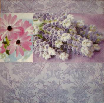 007 Lavendel