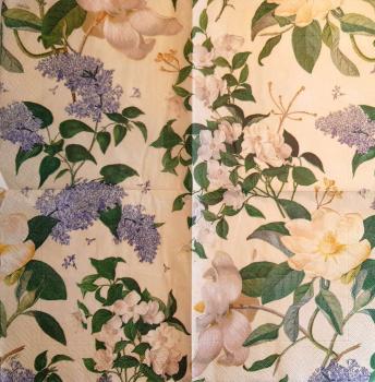 090 Magnolias - 3 ply (cream) - Caspari