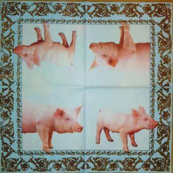 014 Pigs - 3-ply (blue) - Ihr